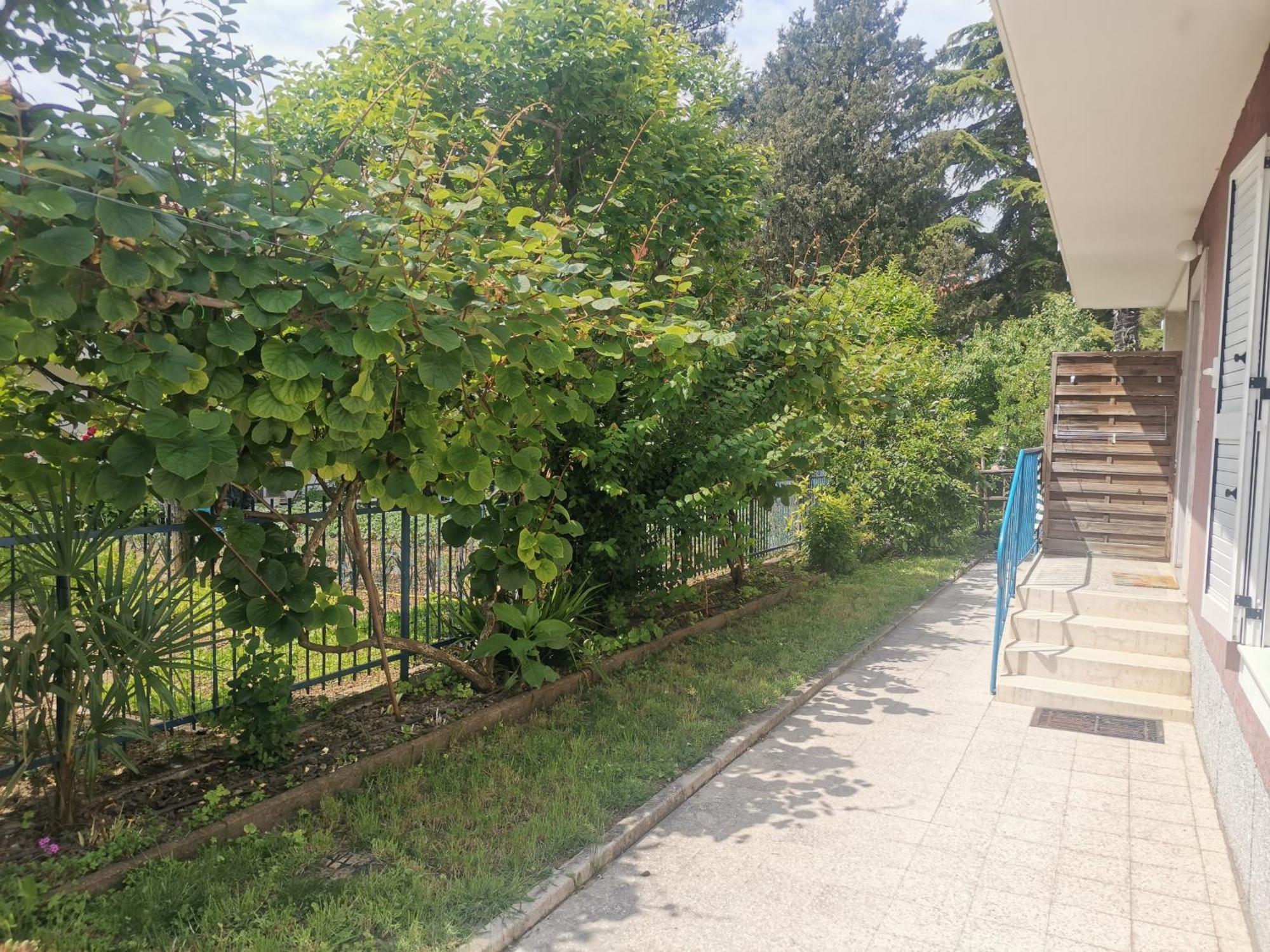 Appartement Pri Noni "Istracycle" à Lucija Extérieur photo